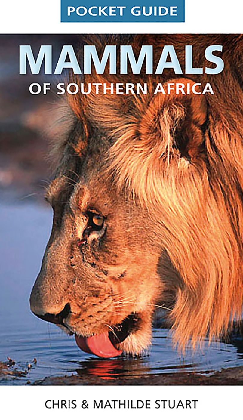 Pocket Guide: Mammals of Southern Africa