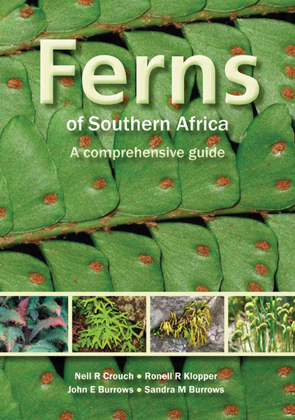 Ferns of Southern Africa: A Comprehensive Guide