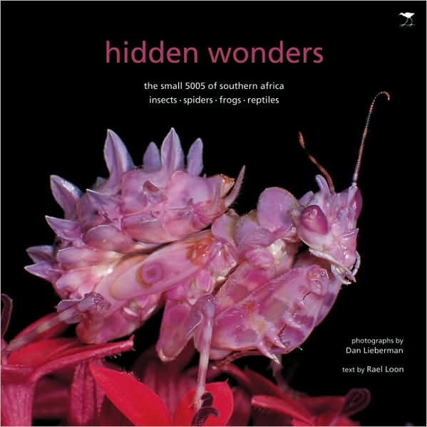 Hidden Wonders