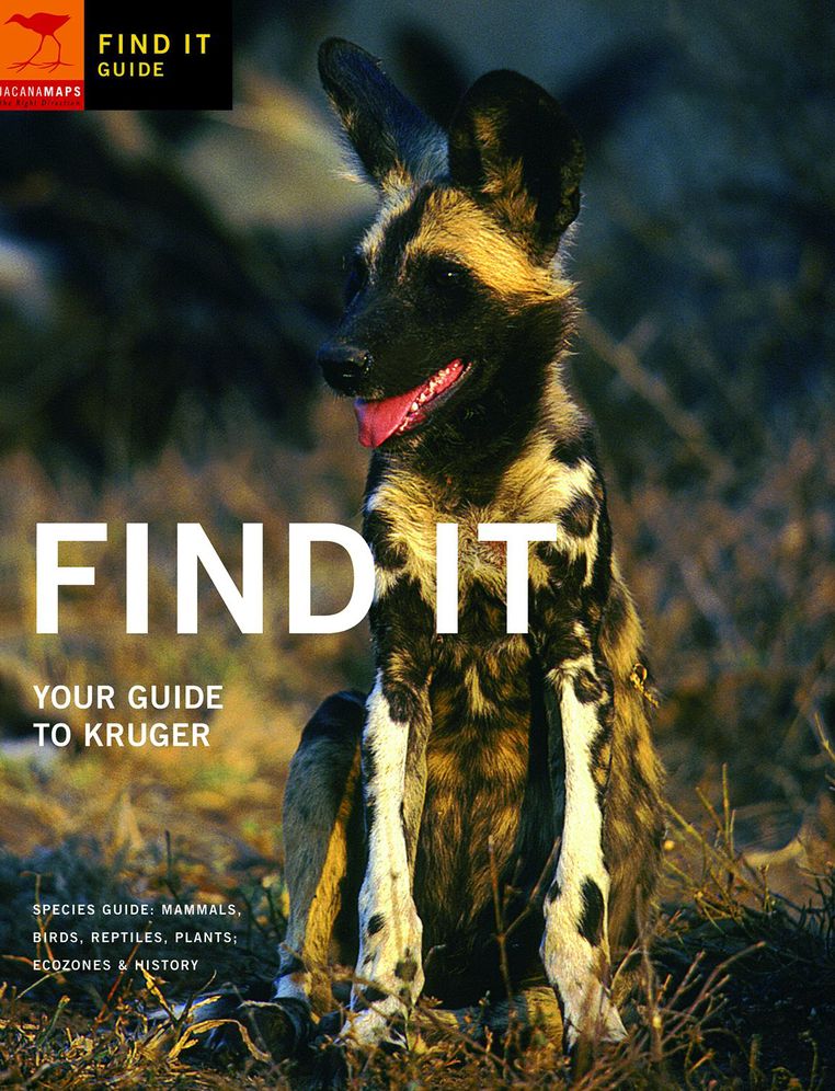 Find It: Your Guide to Kruger