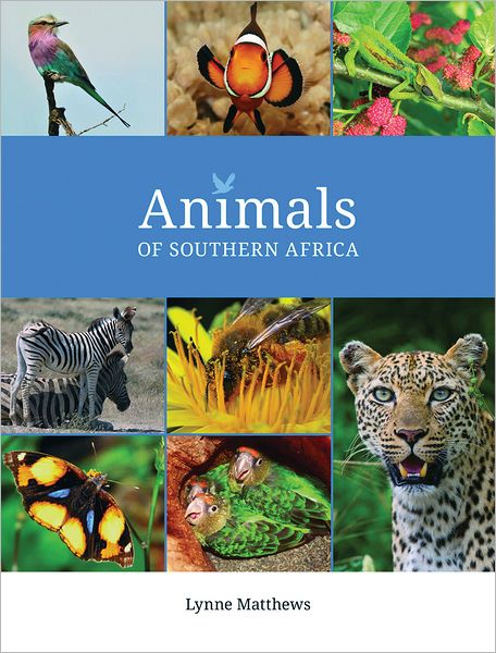 Animals of Southern Africa (Boxed Set)