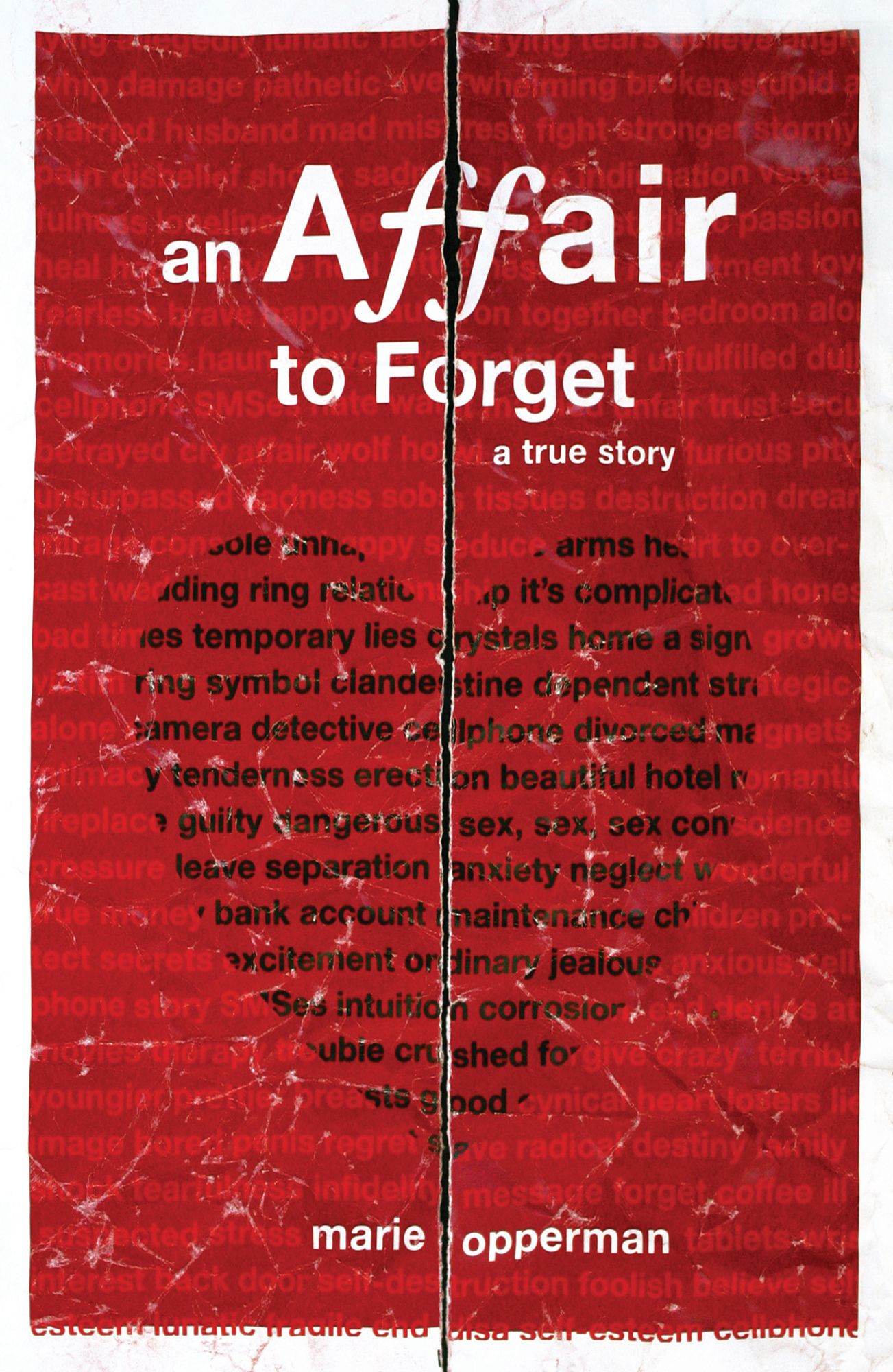 An Affair to Forget: A True Story