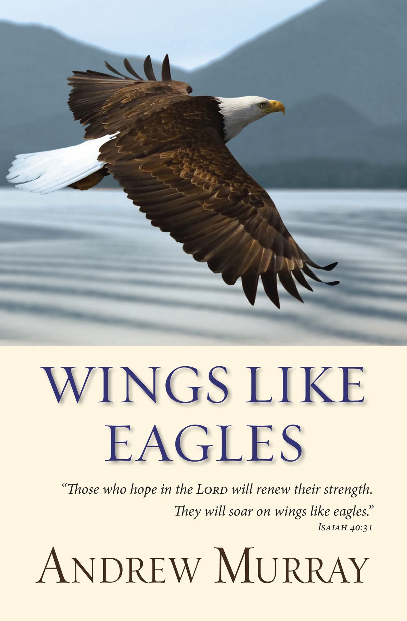 Wings like Eagles (eBook)