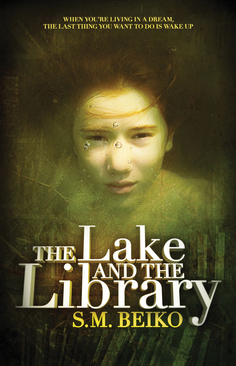 The Lake and the Library