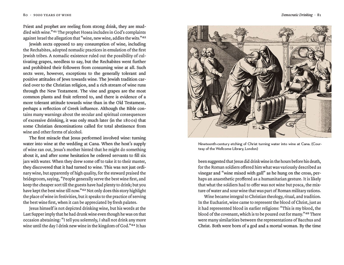 9000 Years of Wine: A Short History
