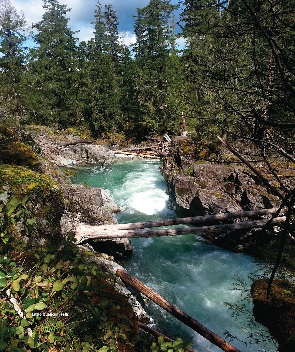 Wild Places: Vancouver Island