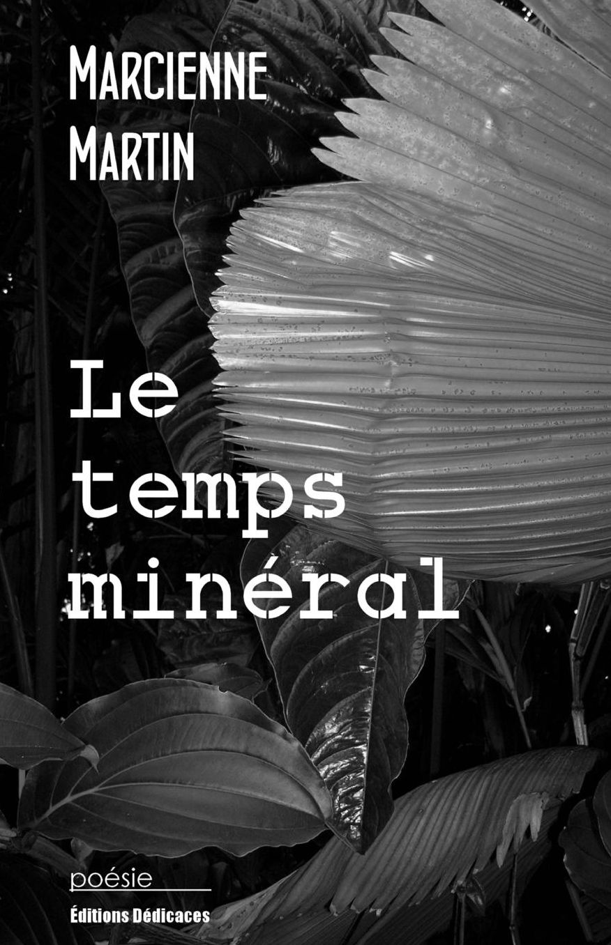 Le temps minéral