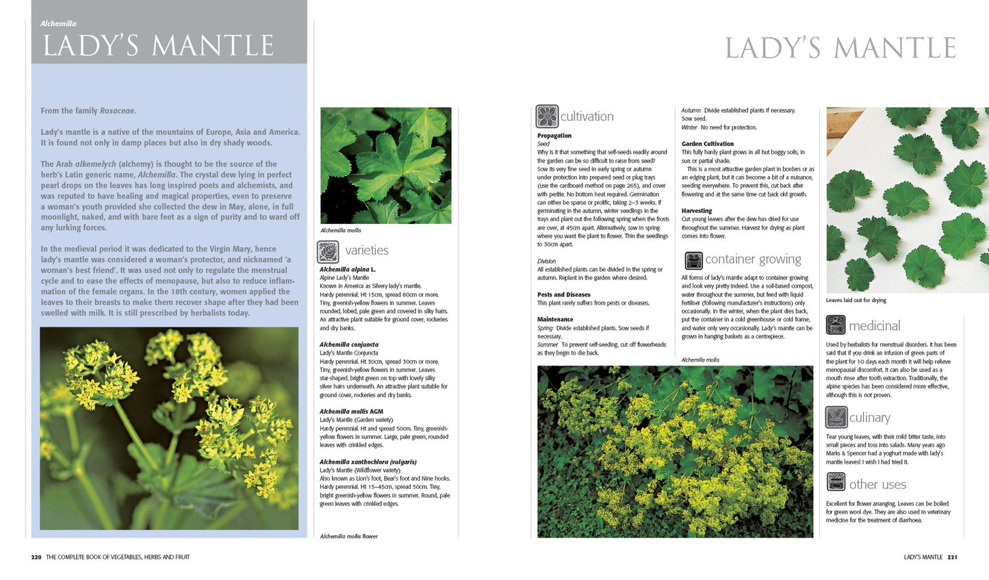 The New Vegetables, Herbs and Fruit: An Illustrated Encyclopedia