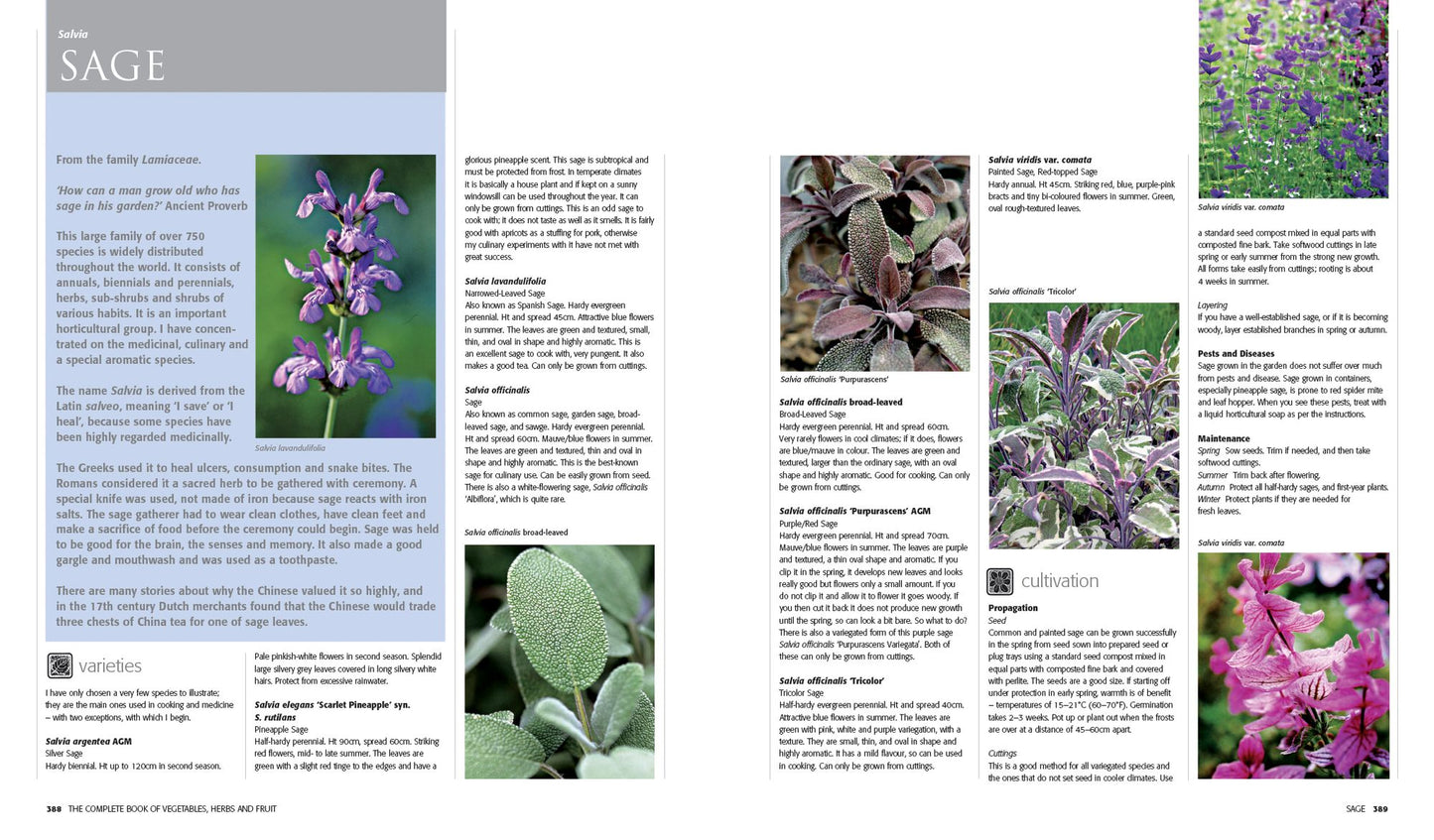 The New Vegetables, Herbs and Fruit: An Illustrated Encyclopedia