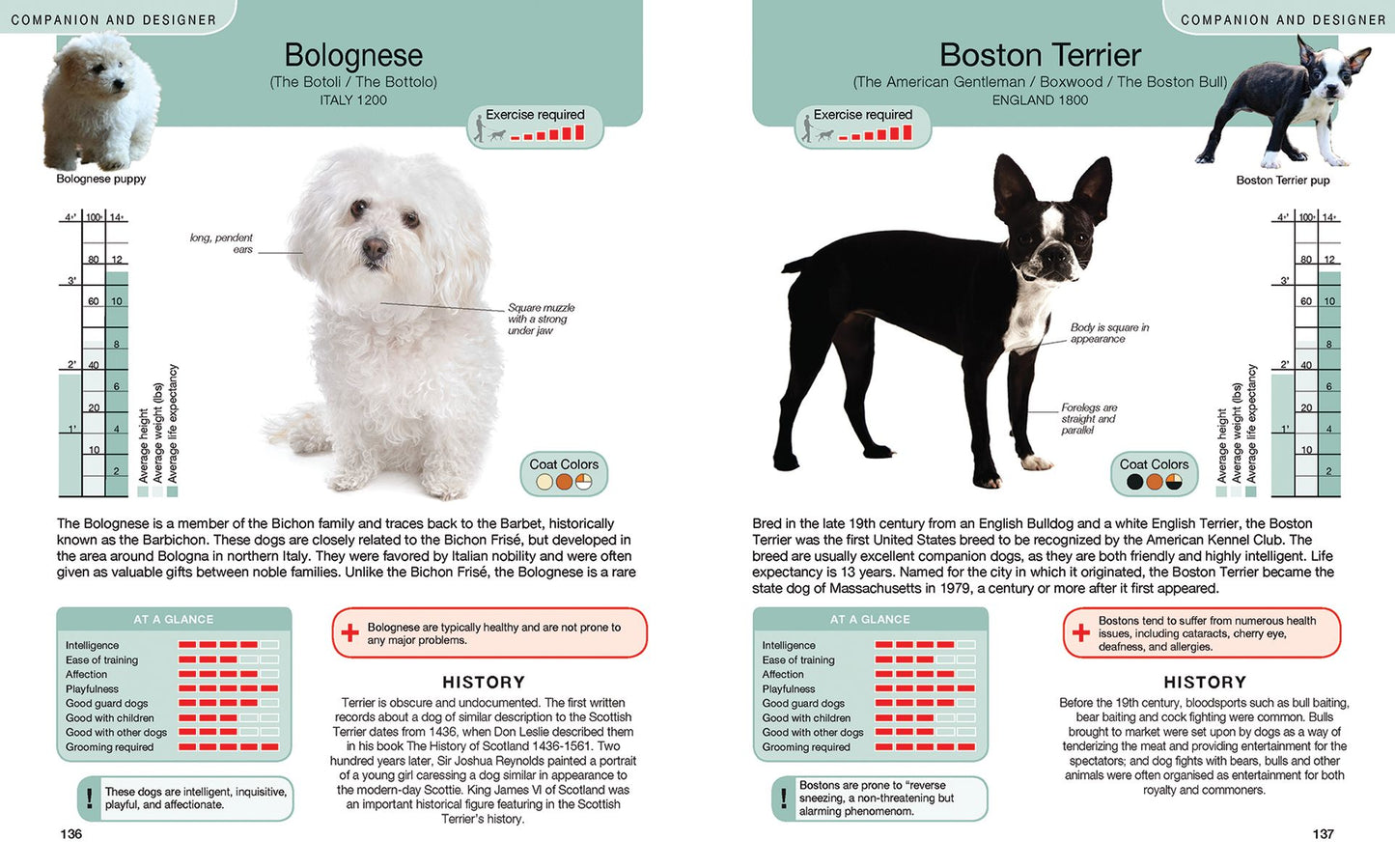 Every Dog: A Book of Over 450 Breeds