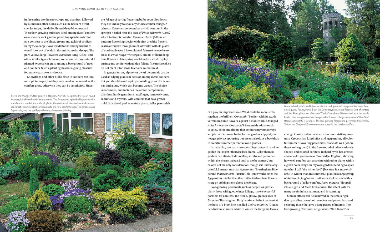 Gardening with Conifers