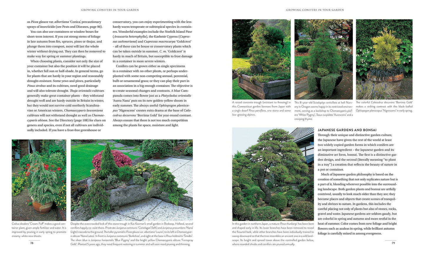 Gardening with Conifers