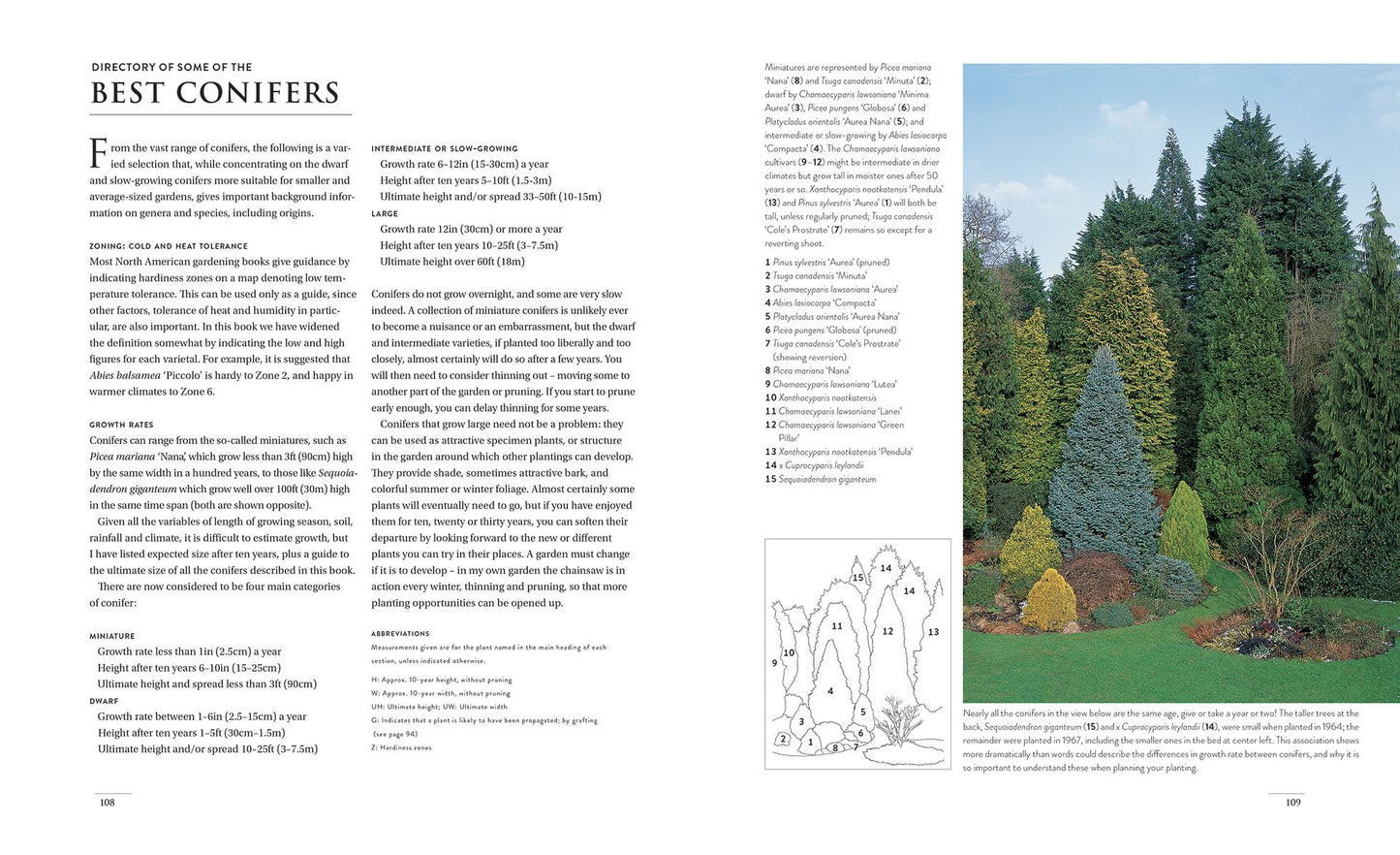 Gardening with Conifers