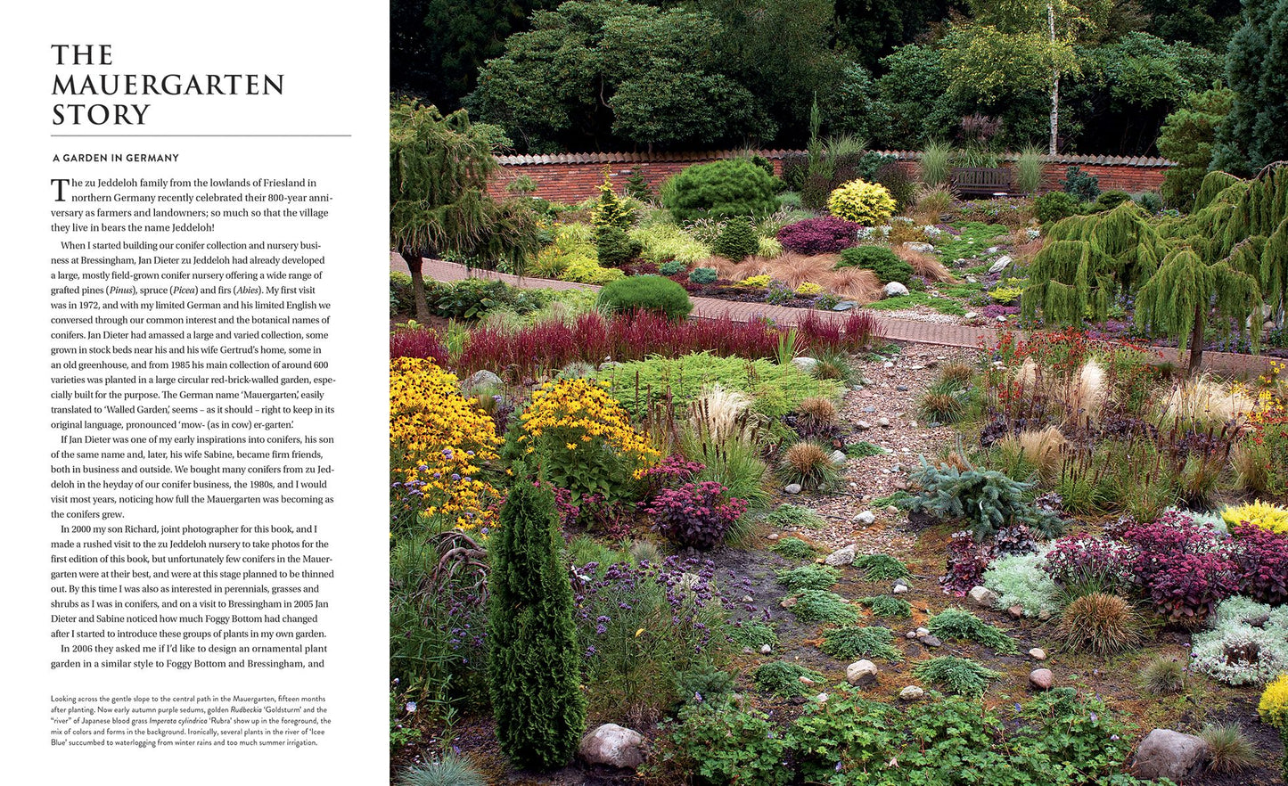 Gardening with Conifers