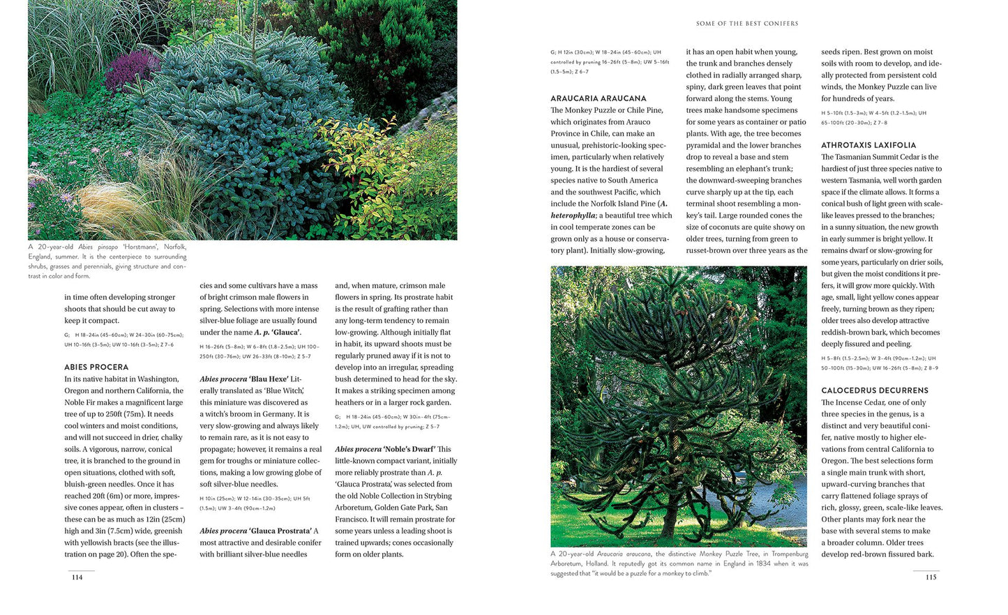 Gardening with Conifers