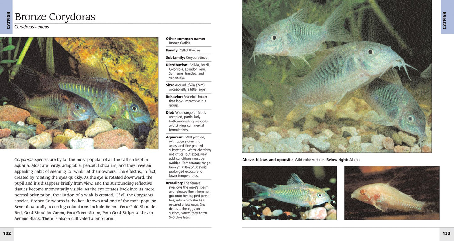 500 Freshwater Aquarium Fish: A Visual Reference to the Most Popular Species