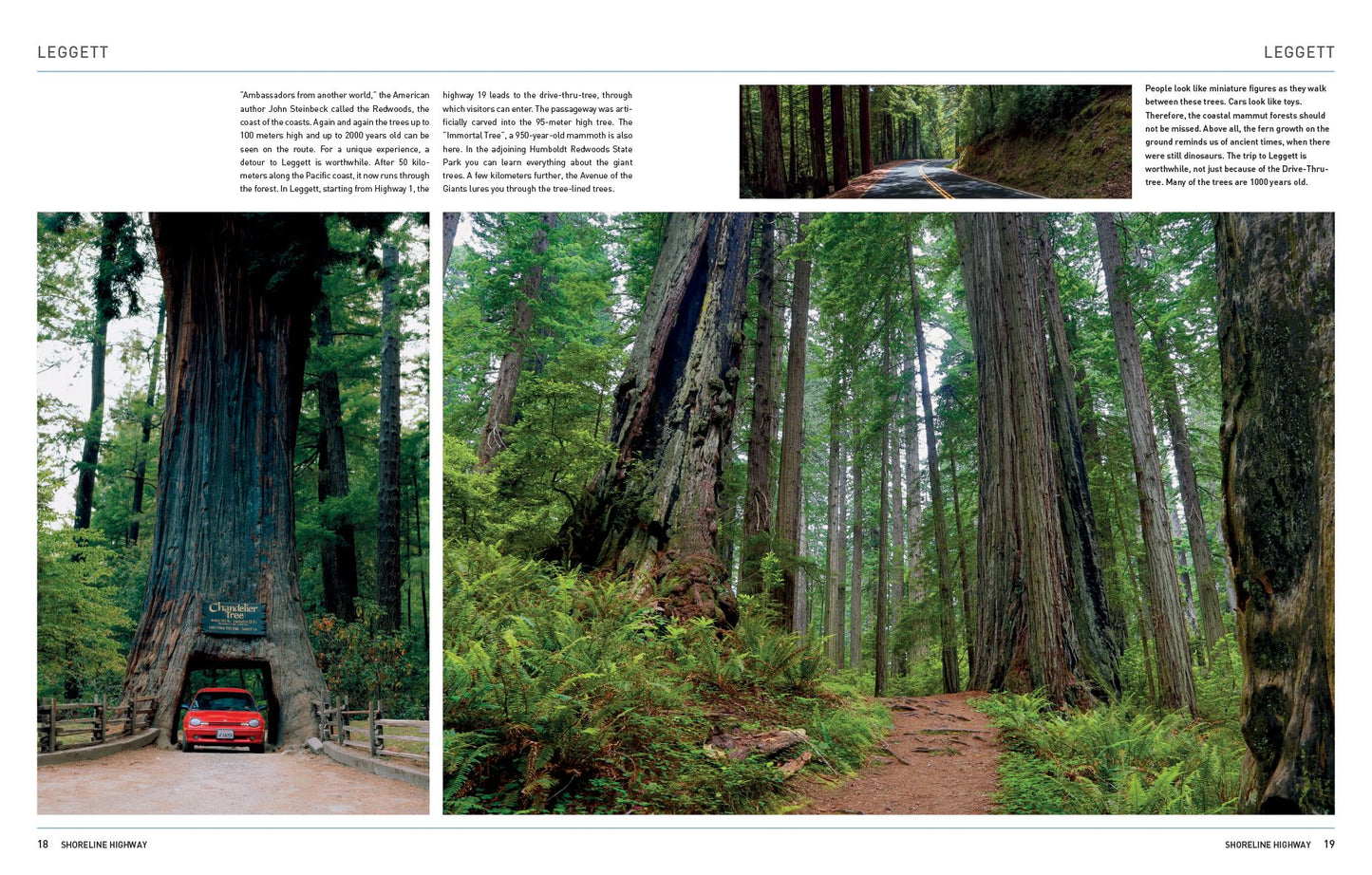 Highway 1 California: The Dream Road Along the Pacific