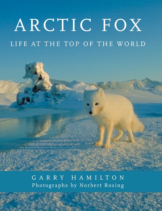 Arctic Fox: Life at the Top of the World