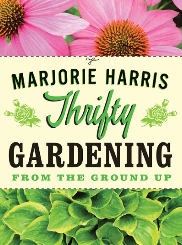 Thrifty Gardening: From the Ground Up