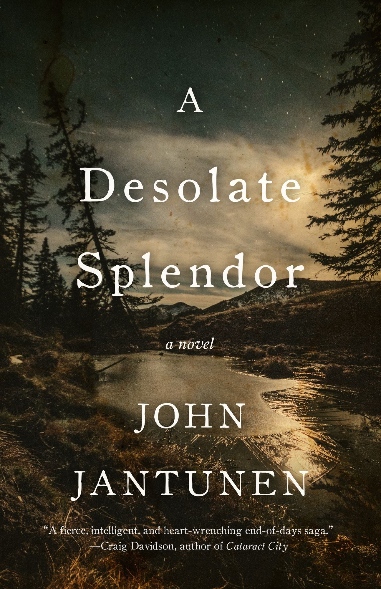 A Desolate Splendor: A Novel