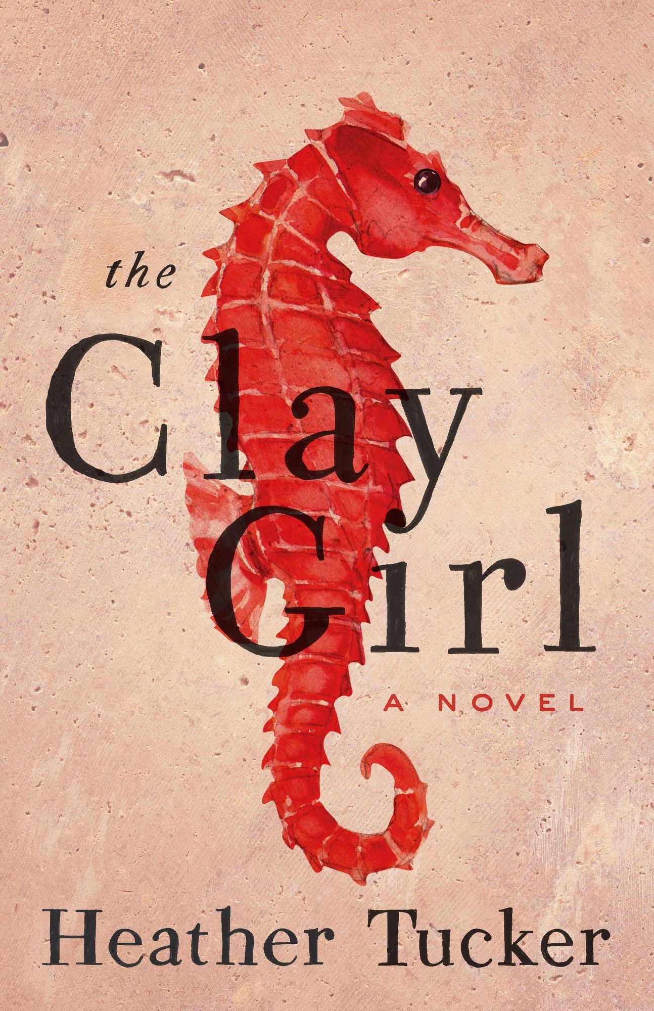 The Clay Girl: A Novel