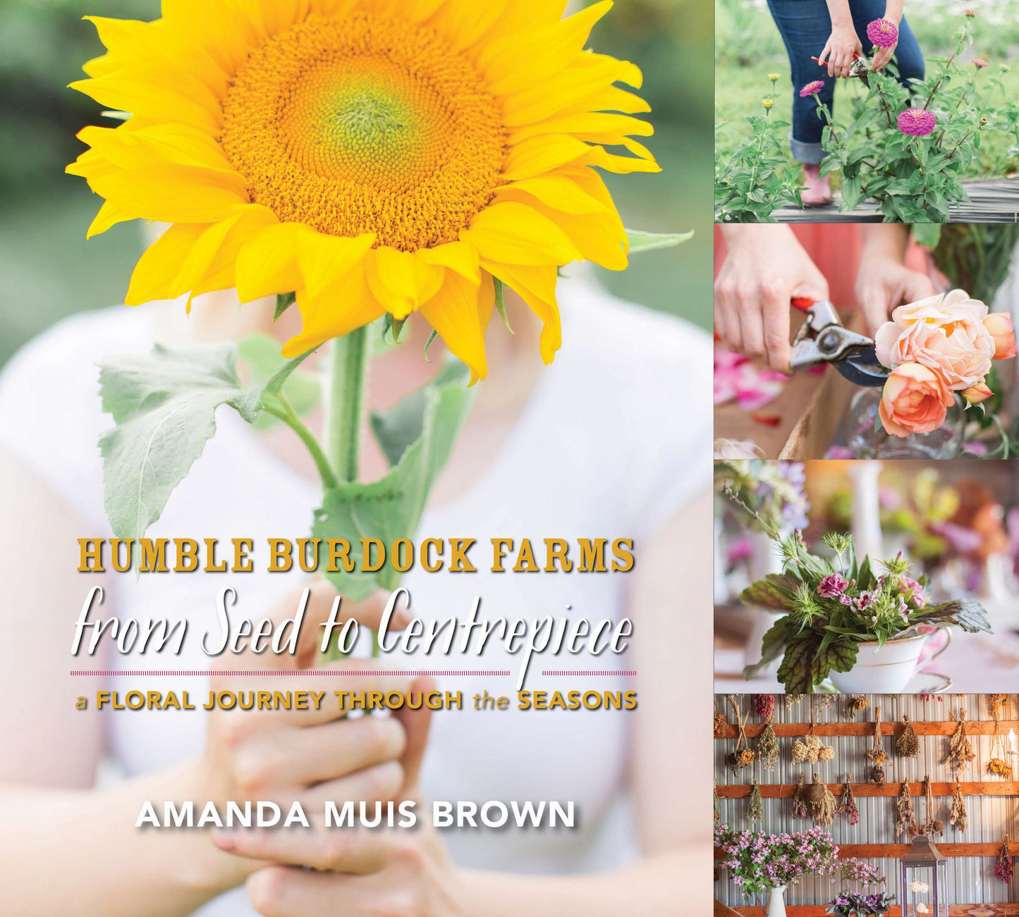 From Seed to Centrepiece: A Floral Journey through the Seasons