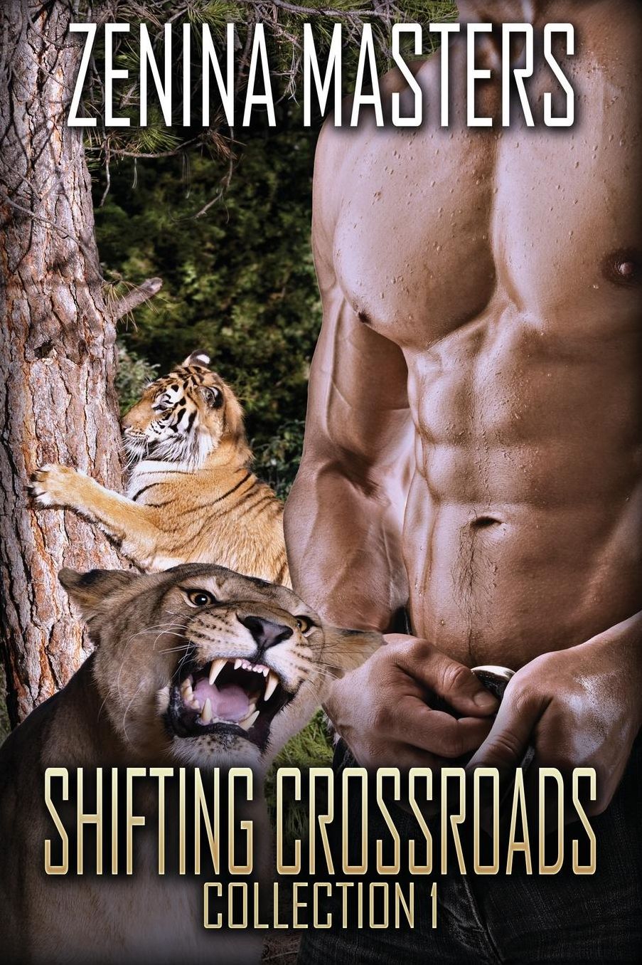 Shifting Crossroads Collection 1