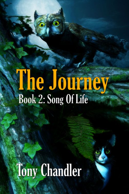 The Journey: Book 2 Of The Song Of Life