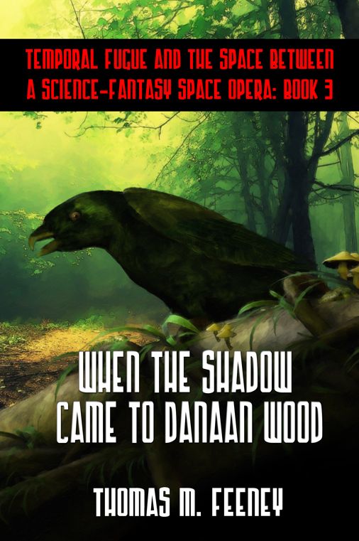 When The Shadow Came To Danaan Wood: