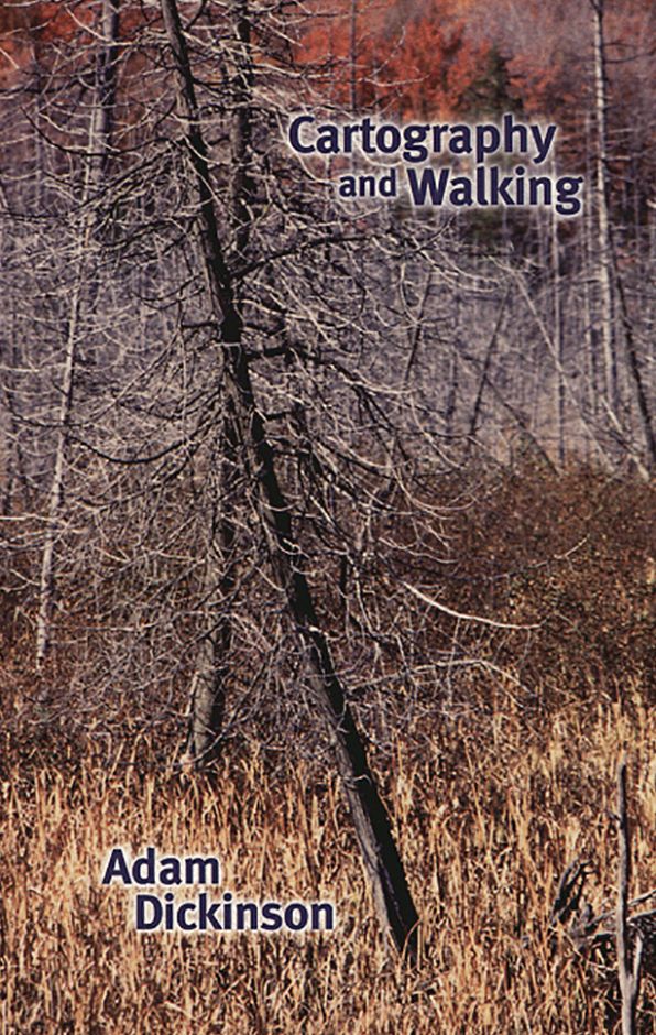 Cartography and Walking