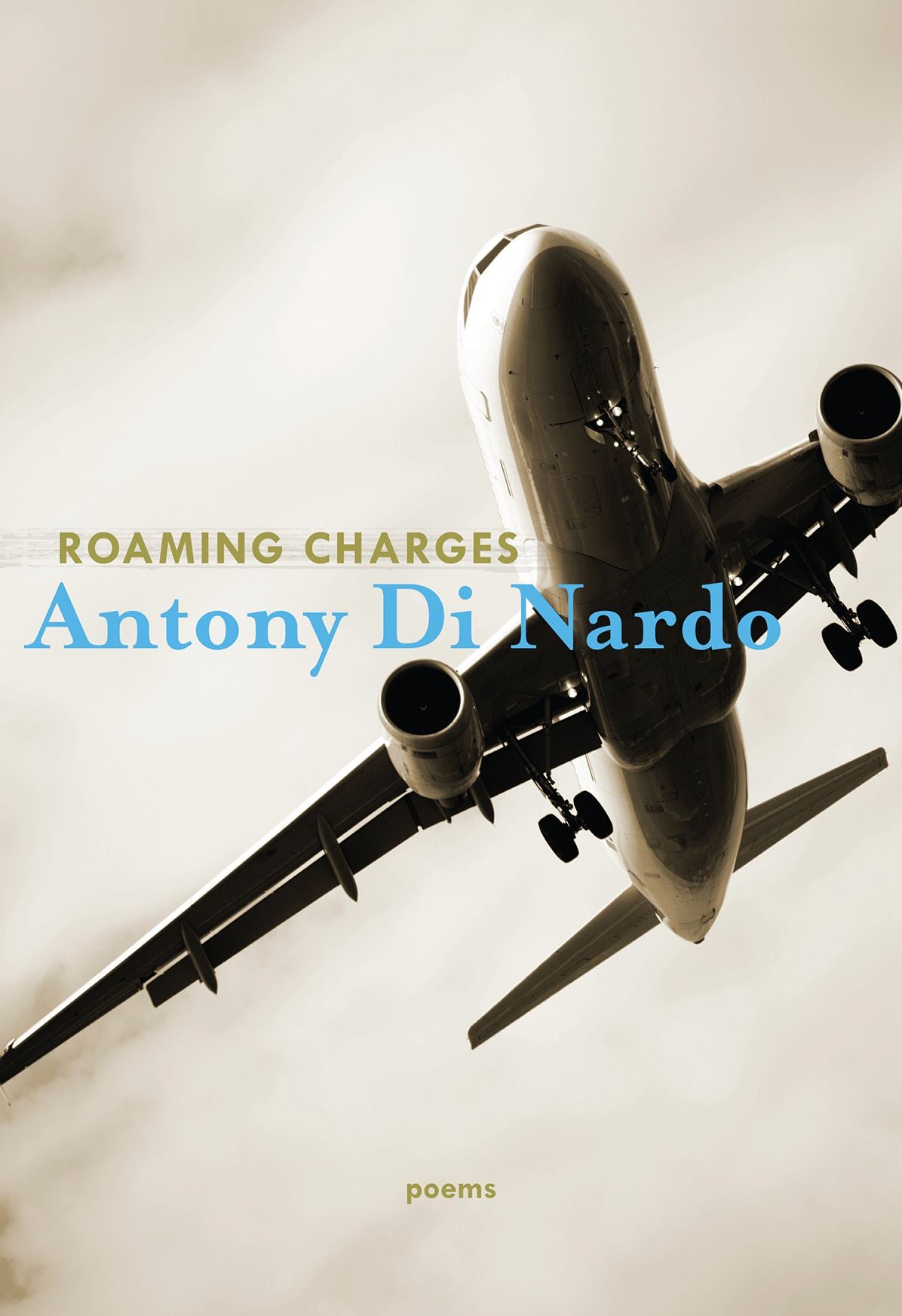 Roaming Charges