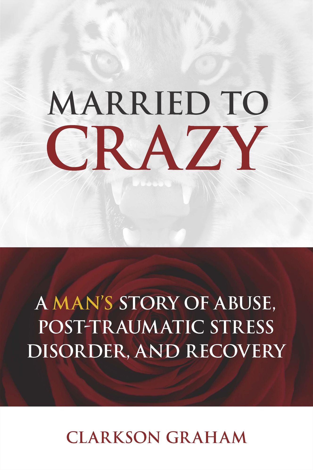 Married to Crazy: A Man's Story of Abuse, Post-Traumatic Stress Disorder, and Recovery