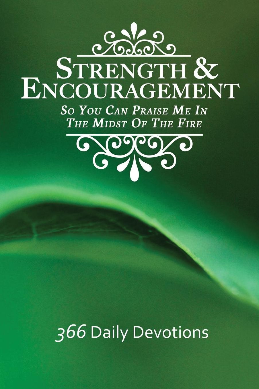 Strength & Encouragement: So You Can Praise Me in the Midst of the Fire 366 Daily Devotions