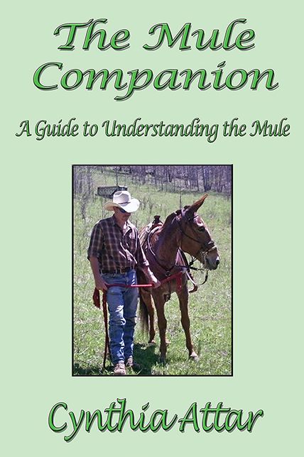 The Mule Companion: A Guide to Understanding the Mule
