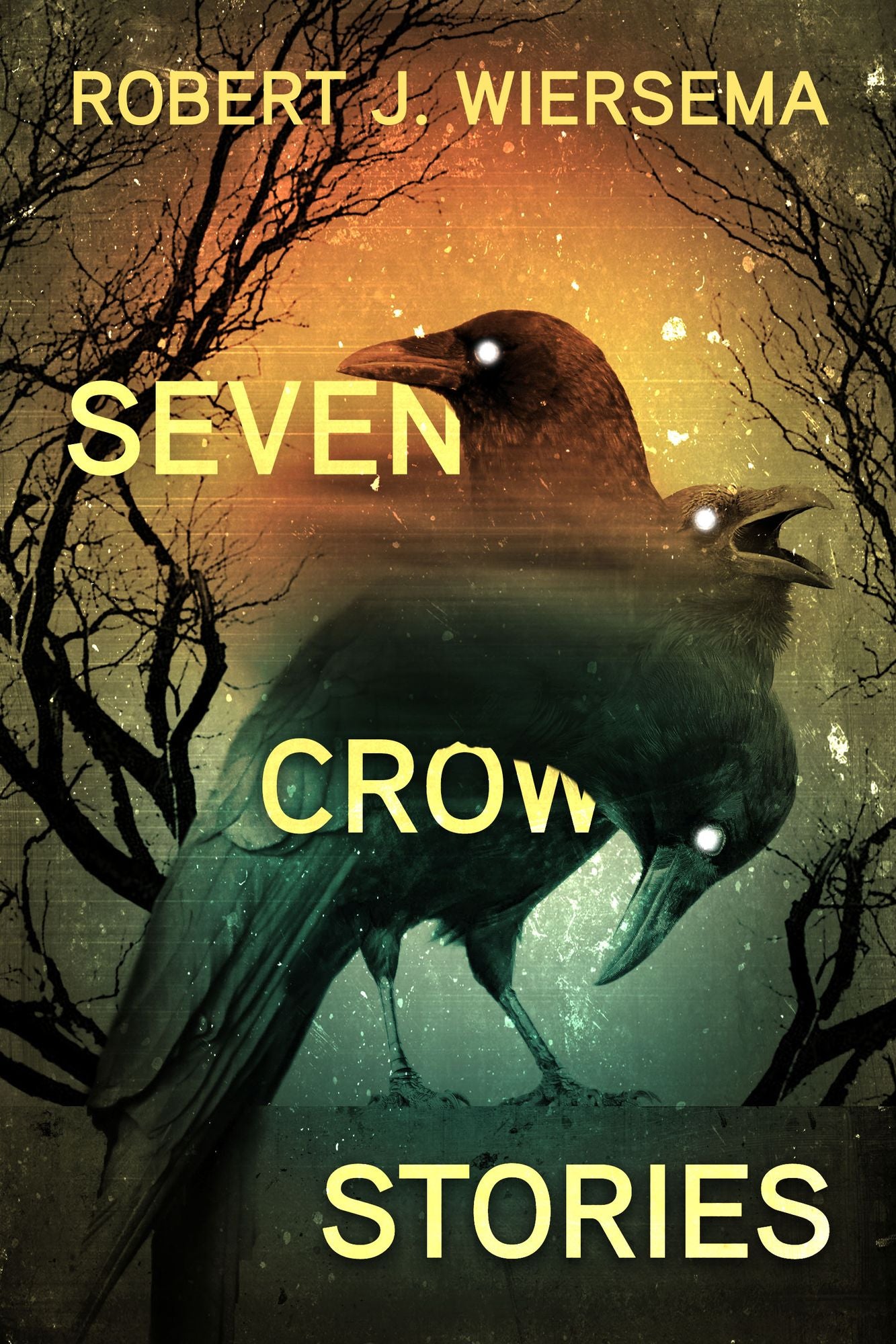 Seven Crow Stories