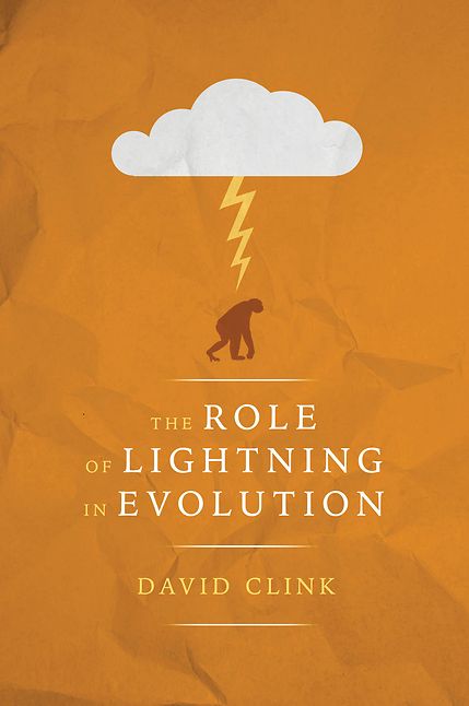 The Role of Lightning in Evolution