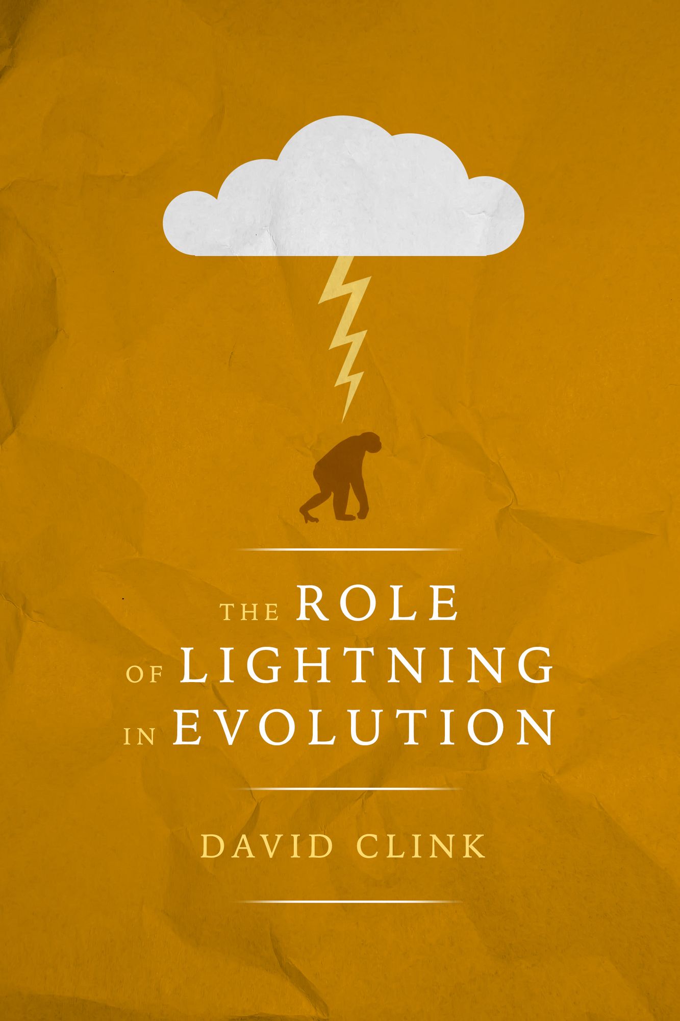 The Role of Lightning in Evolution