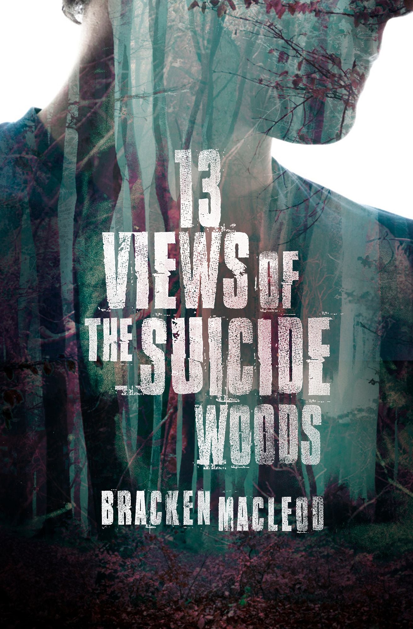 Thirteen Views of the Suicide Woods