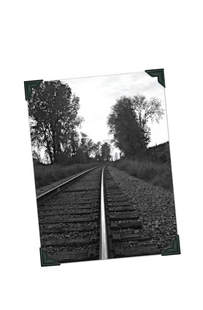 The Way Back