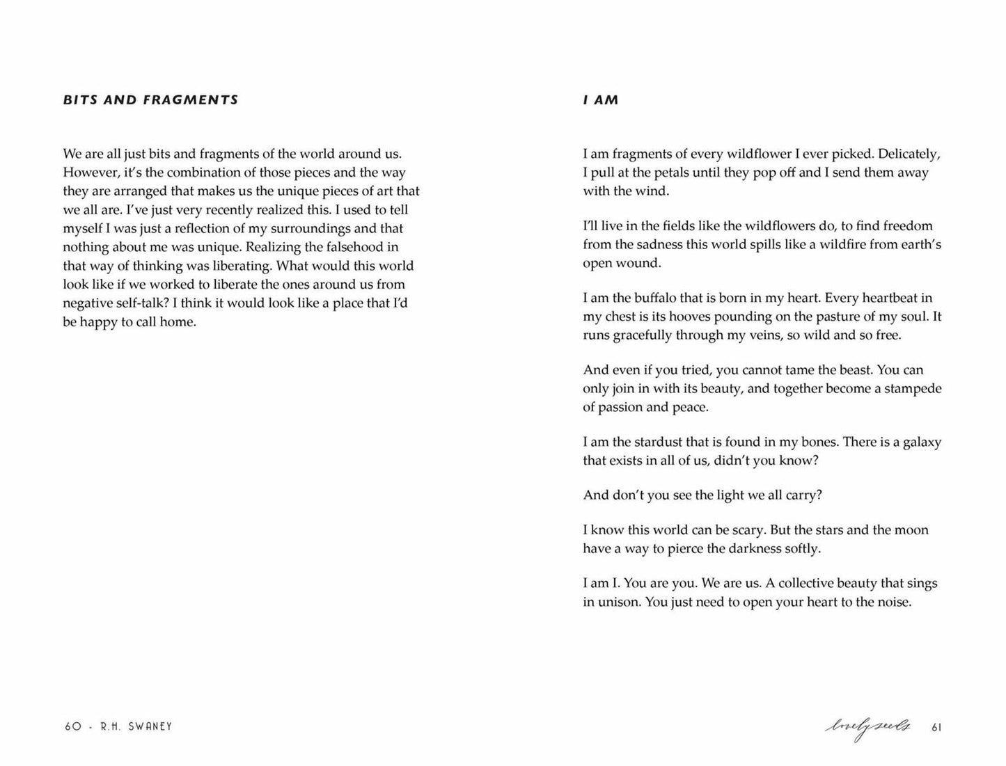 Lovely Seeds: A Walk Through the Garden of Our Becoming