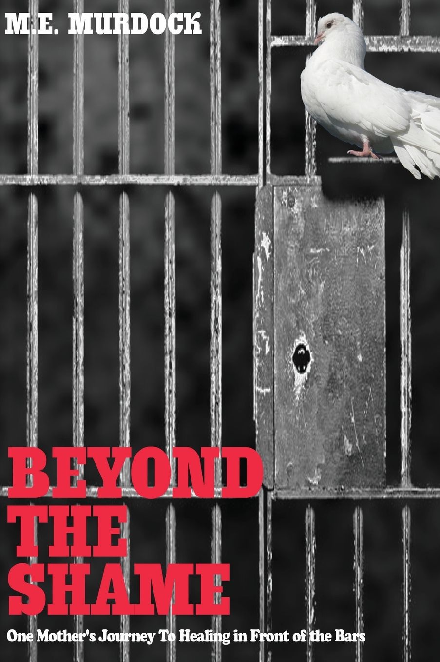 Beyond The Shame: One Mother's Journey To Healing In Front Of The Bars