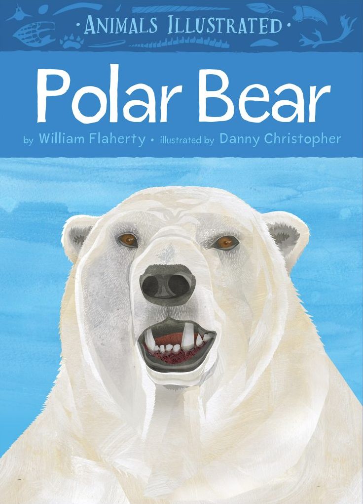 Animals Illustrated: Polar Bear (English)