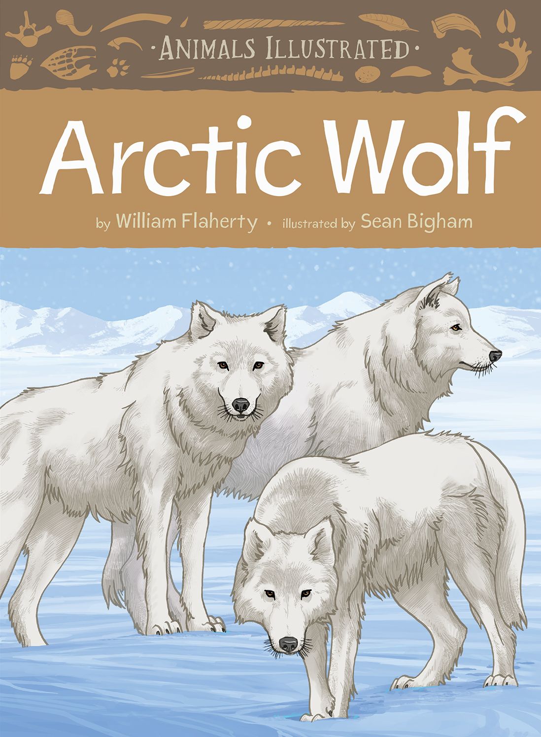 Animals Illustrated: Arctic Wolf (English)