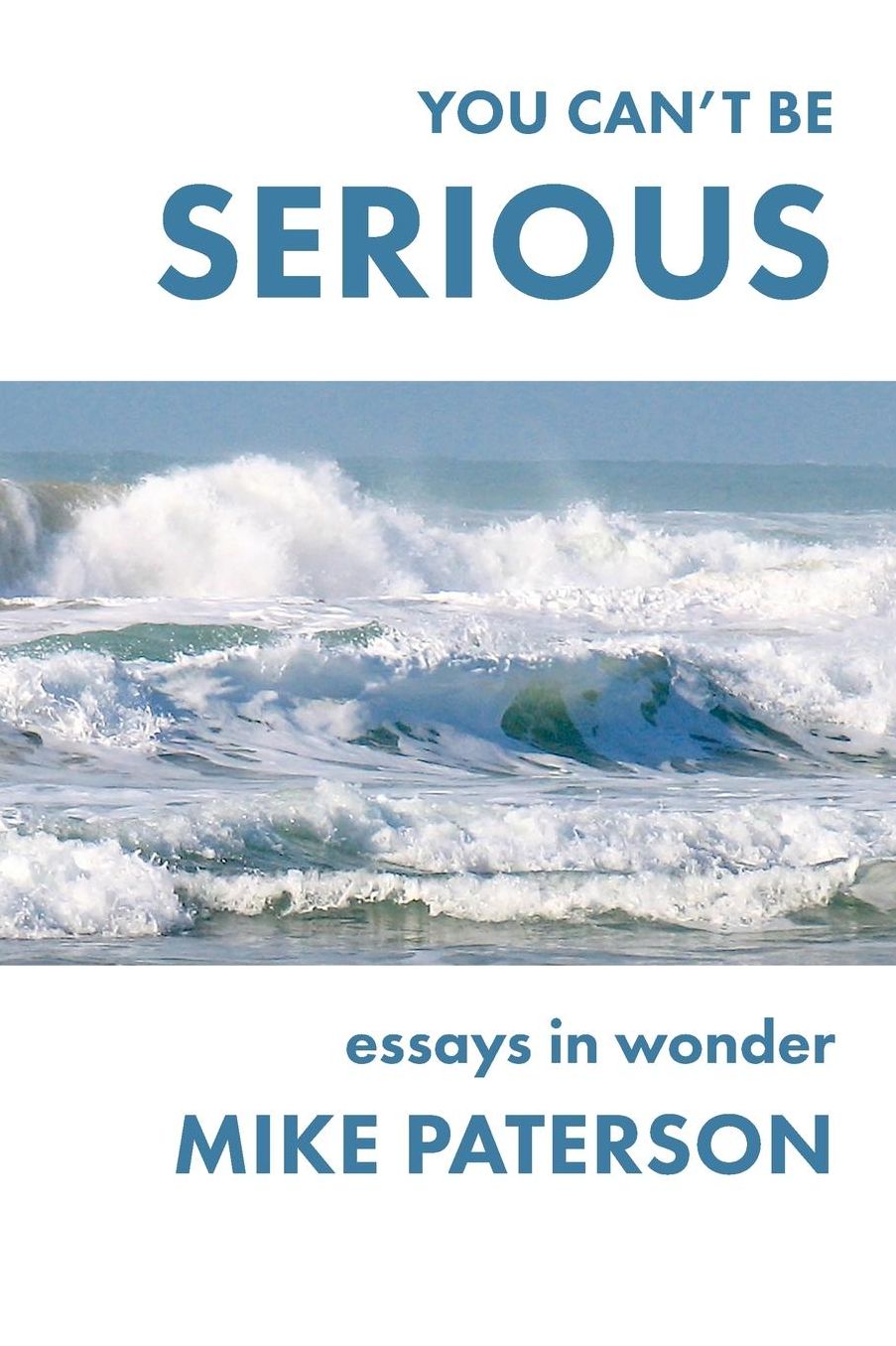 You Can't Be Serious: Essays in Wonder