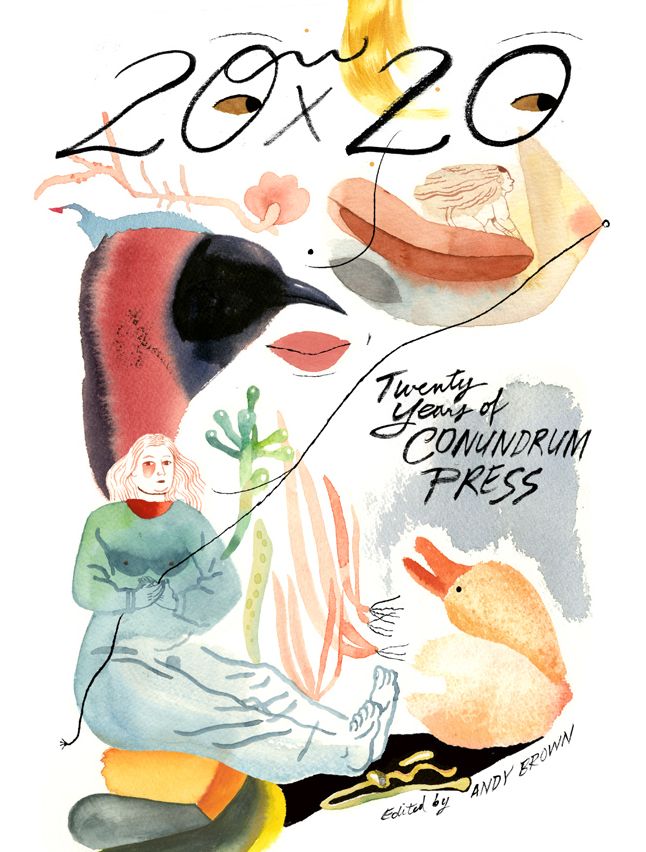 20X20