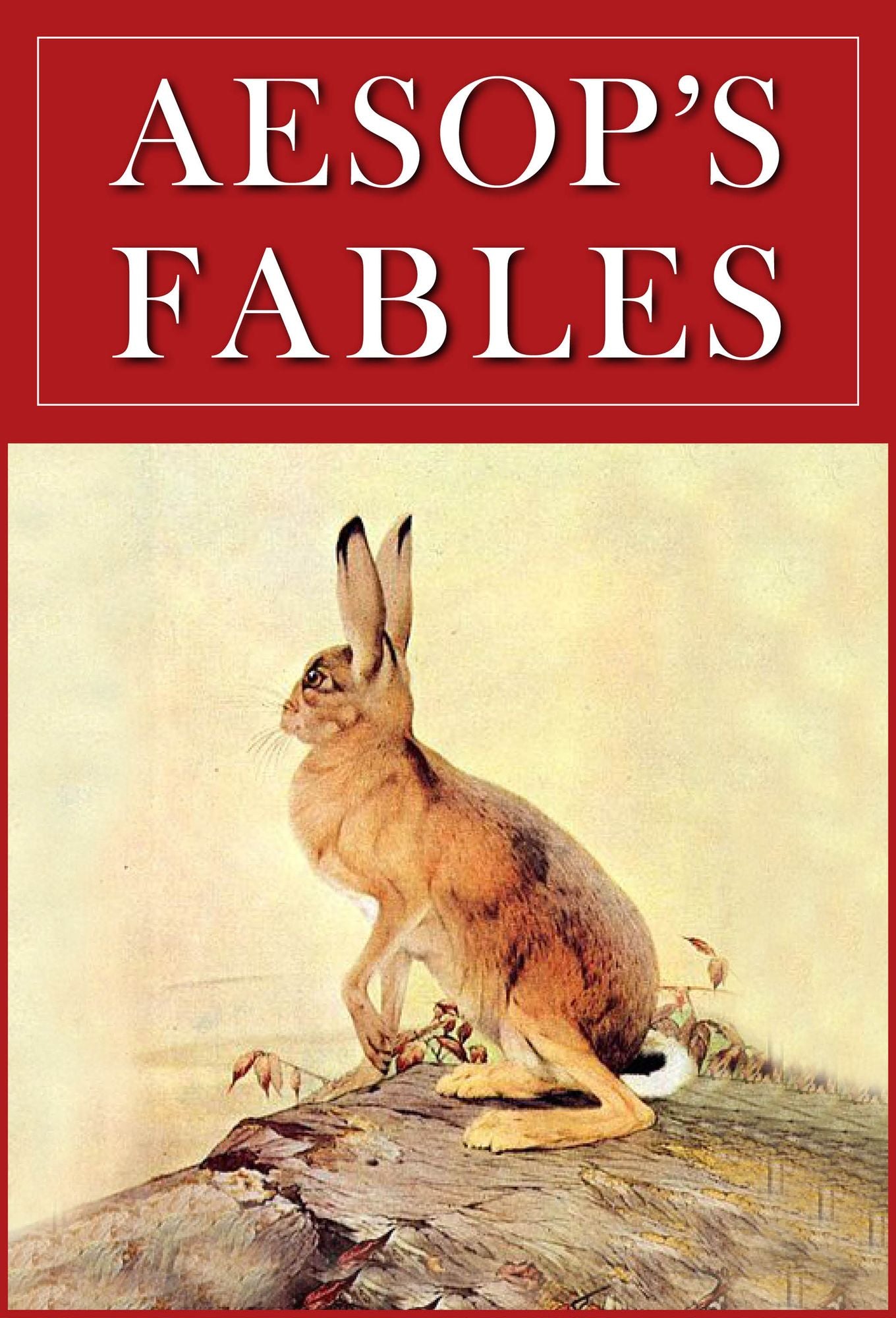 Aesop's Fables: Illustrated