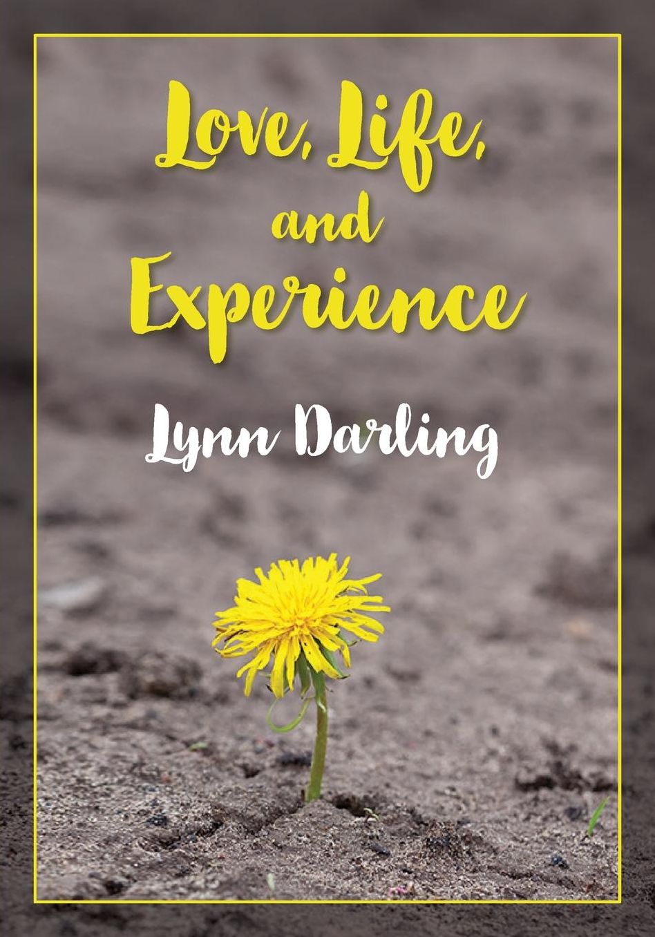 Love, Life, and Experience