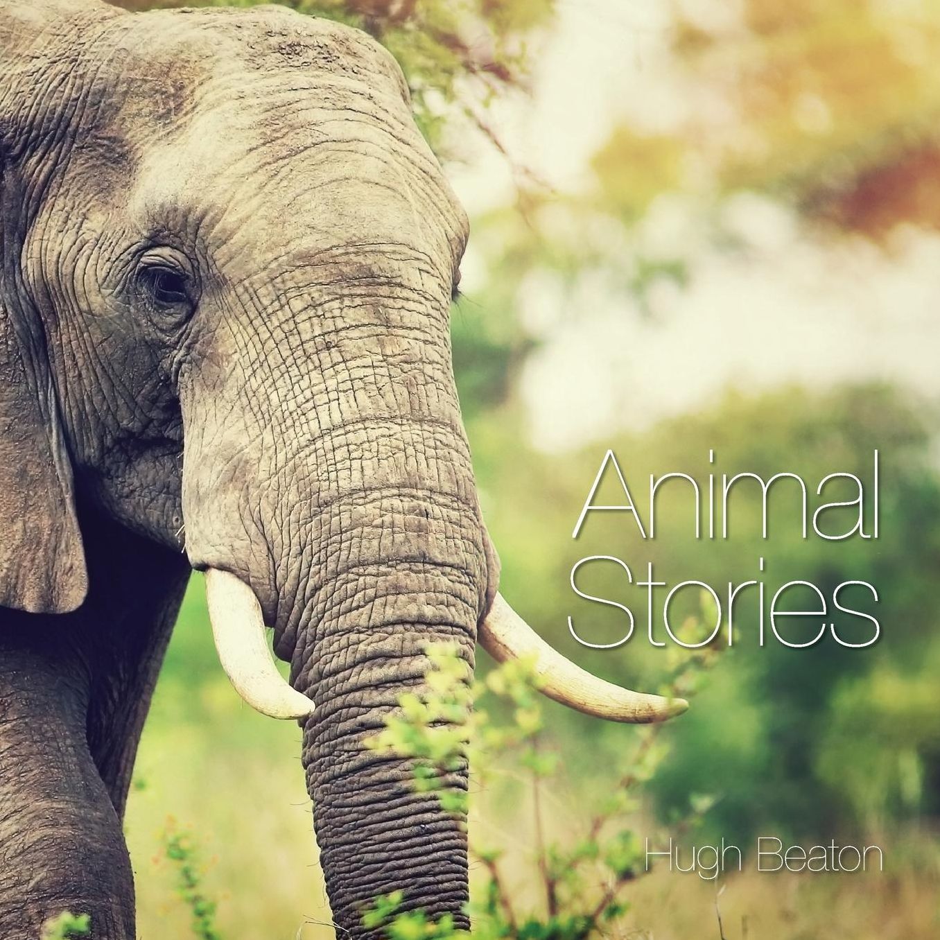 Animal Stories