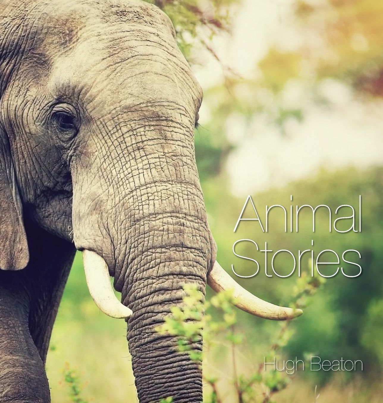Animal Stories