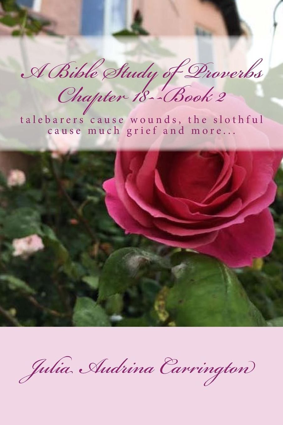 A Bible Study of Proverbs Chapter 18--Book 2